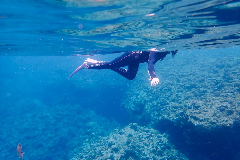 シュノーケリング開始