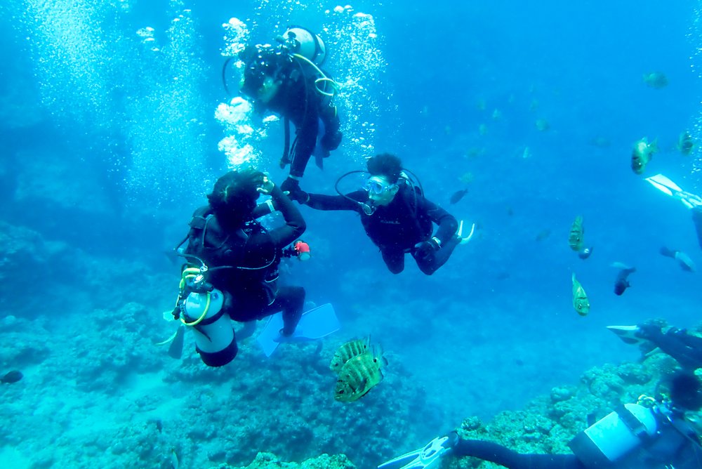 すぐ下にはダイビングをしている人たちの姿も