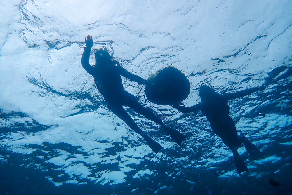 海の世界にうっとりしながら洞窟まで泳ぎます