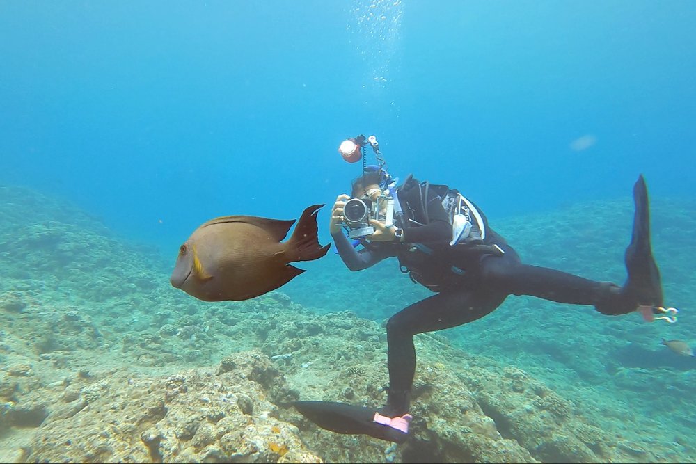 青の洞窟 写真撮影サービス