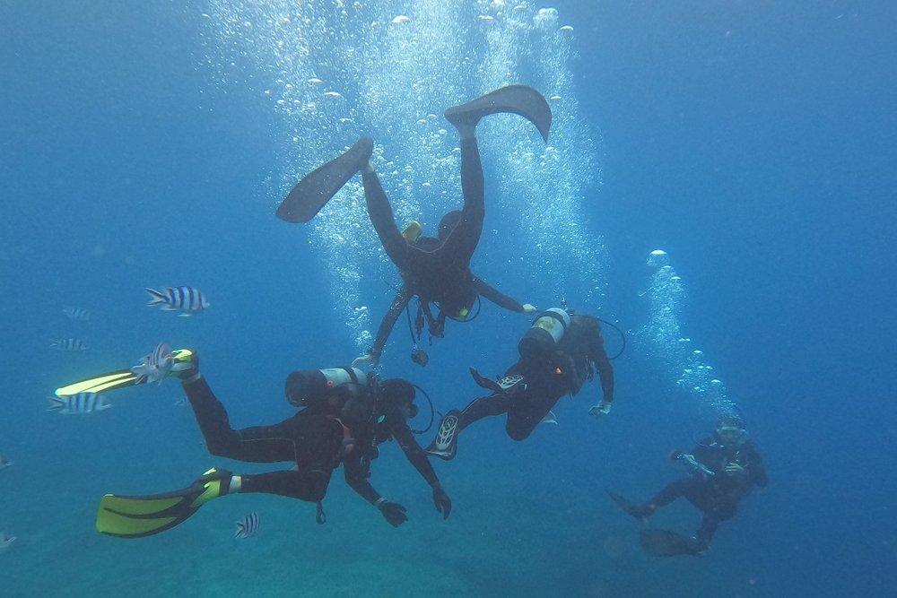 ダイビングツアー体験レポ