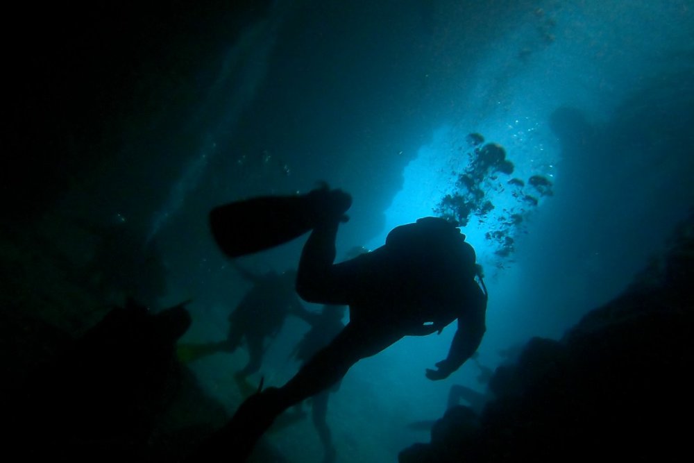 薄暗い水の中はなんだか足を踏み入れてはいけない場所のよう