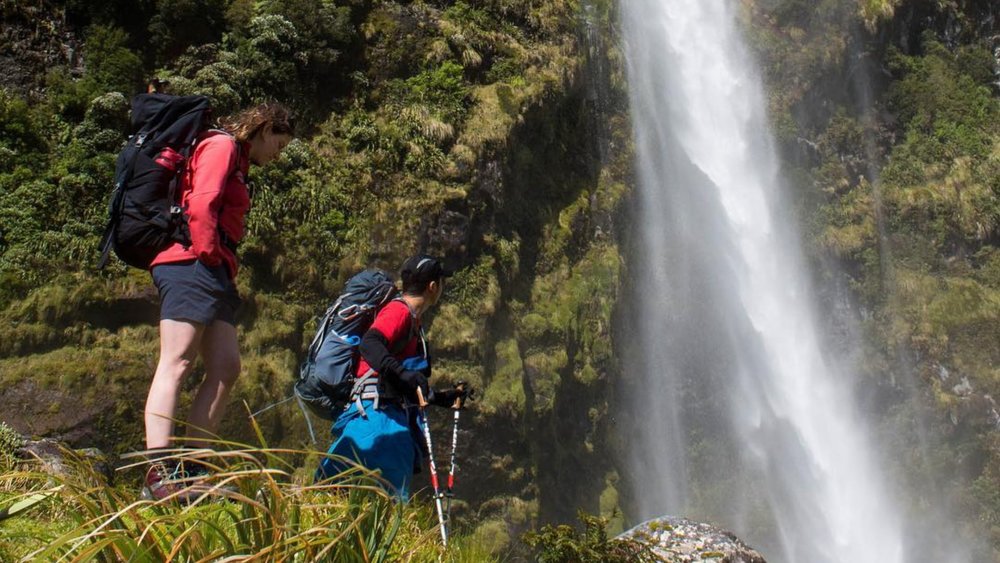 Dare yourself to try something new with this Milford Sound hike! Credits: @ultimatehikes
