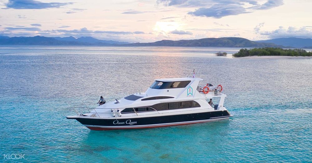 Paket Wisata Labuan Bajo: Speedboat Full Day Tour Komodo