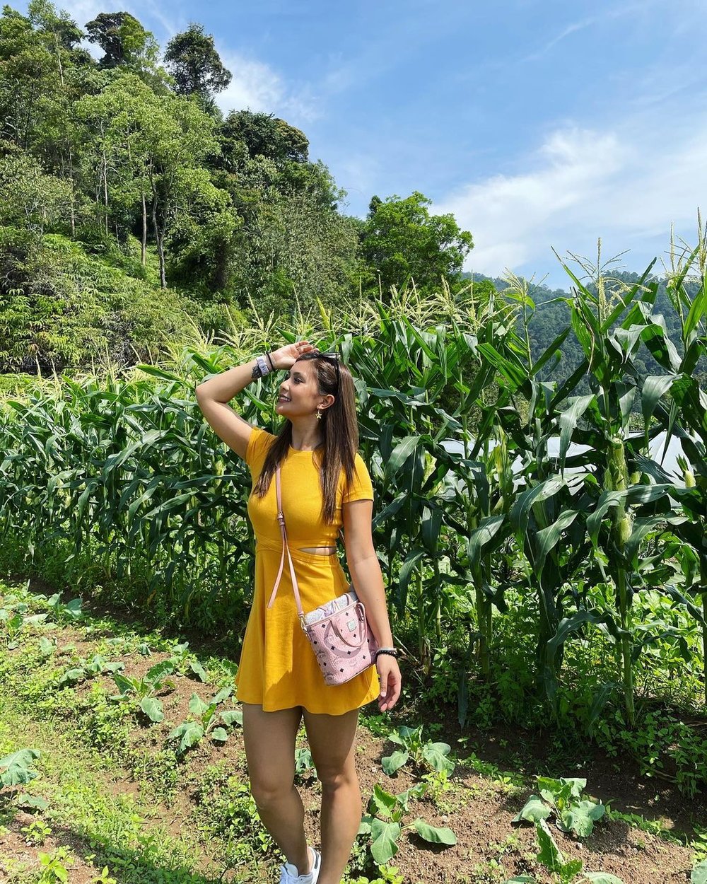 Organic farm at The Chateau Bukit Tinggi Berjaya Hills Resort