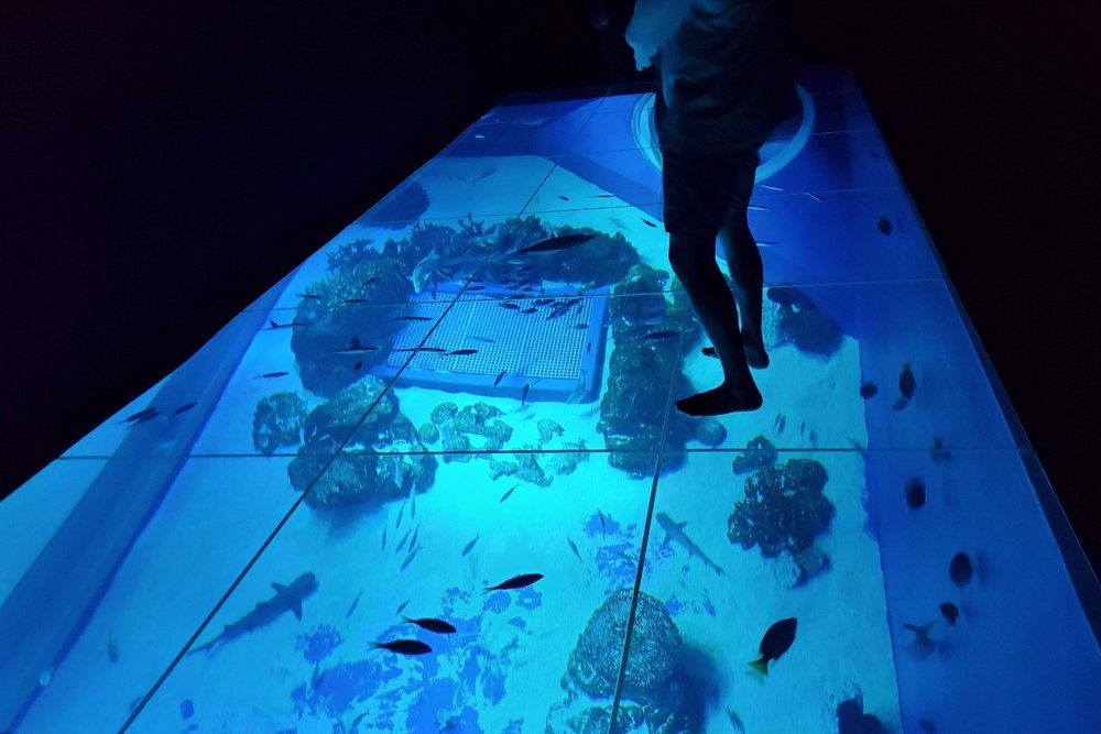 これまでにない新しい体験ができる