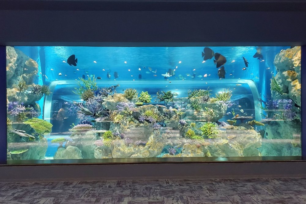 沖縄観光の予定に組み込みやすい