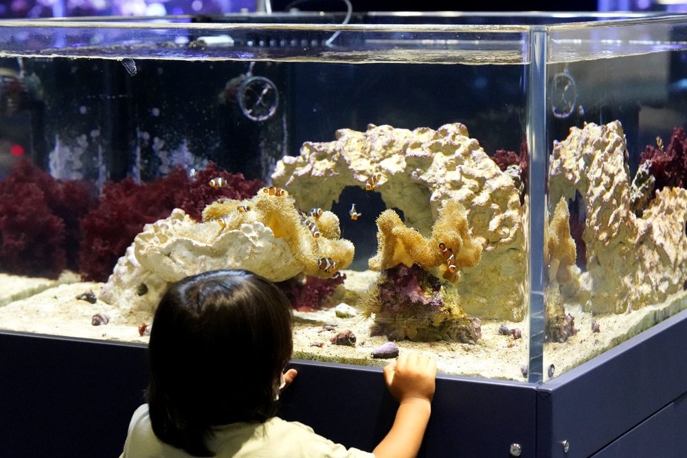 小さなお子様にも優しいつくり