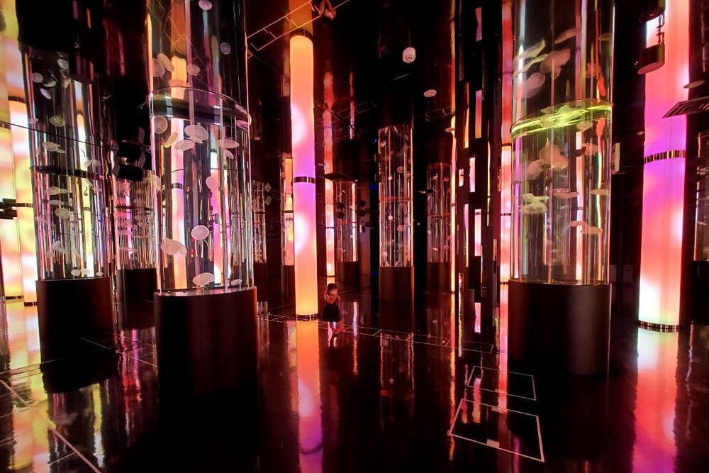 映えスポットがいっぱい