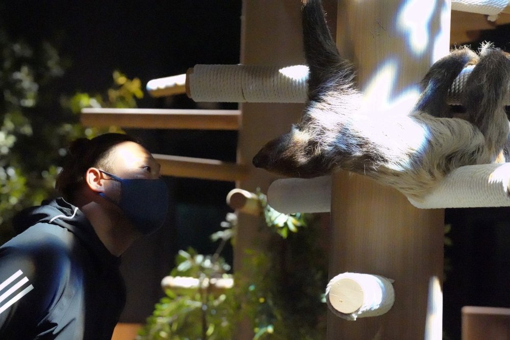 動物にも会える、しかも間近で