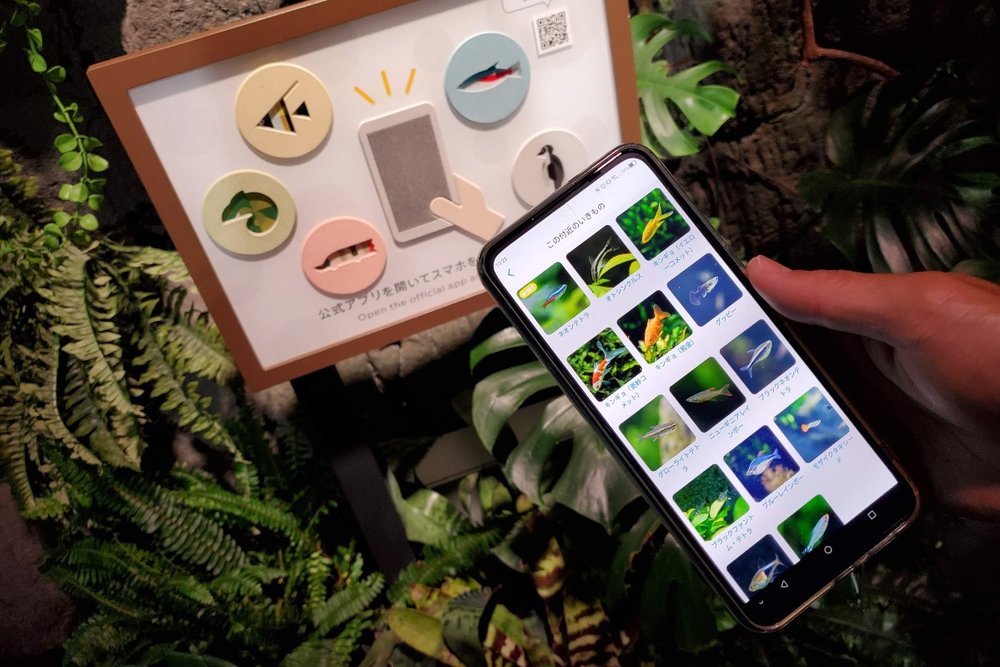公式アプリをダウンロードして館内のタッチポイントにスマホをかざす