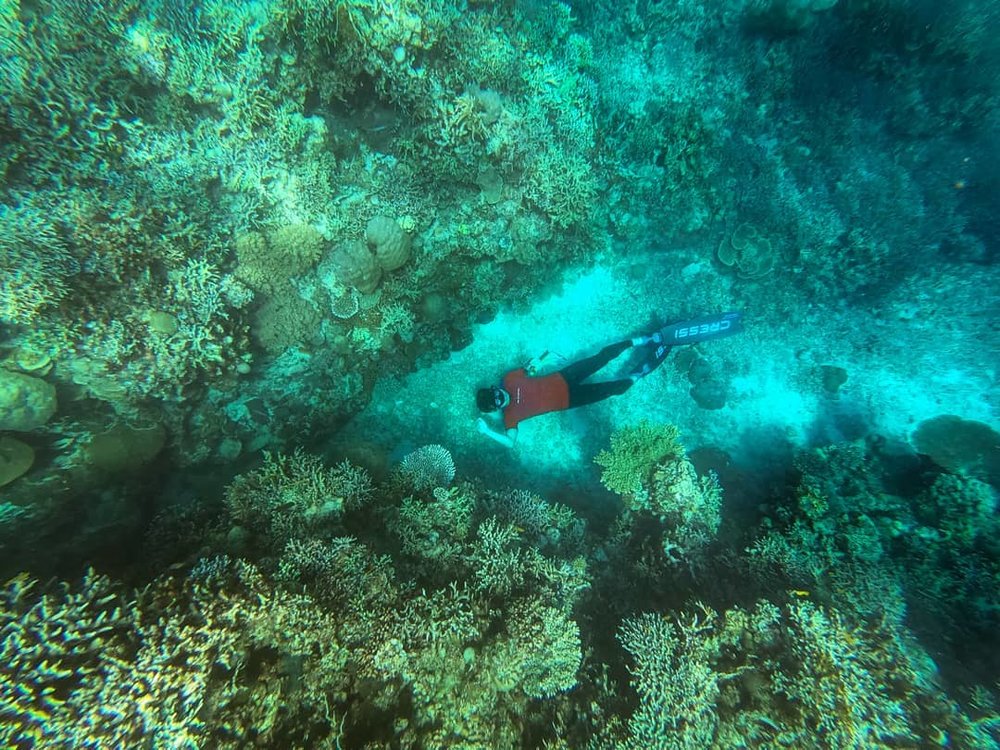 a person diving in mactan island
