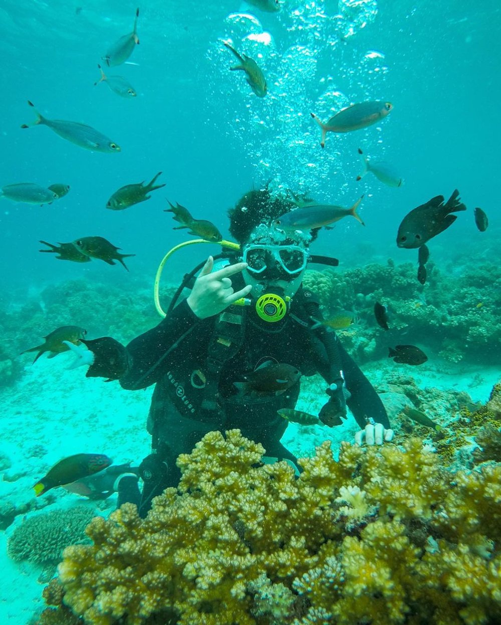 Best Diving Spots in Northern, Central and South-Western Cebu - Klook ...