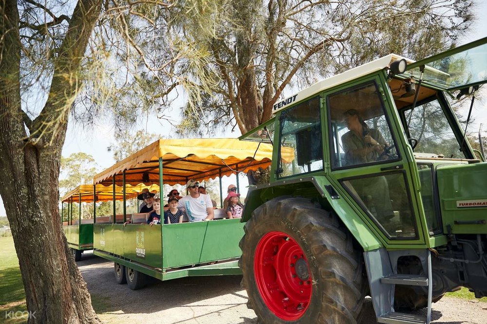 oakvale tractor ride