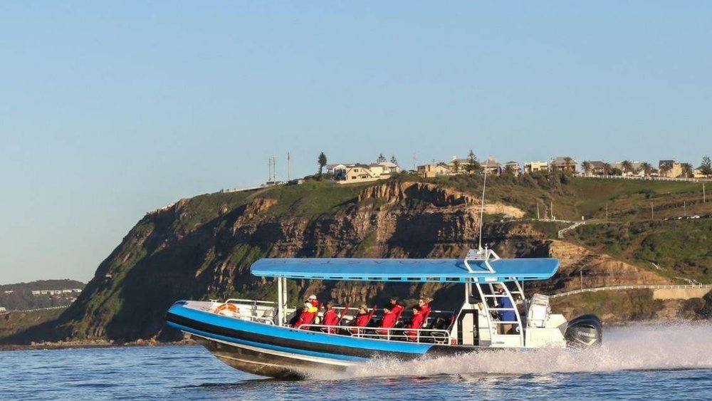 Immerse in the stunning Newcastle scenery along the way!