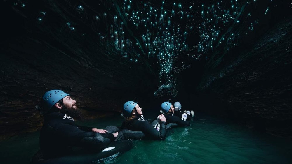 Let the glow worms of Ruakuri Cave greet you as you float along the Black Labyrinth