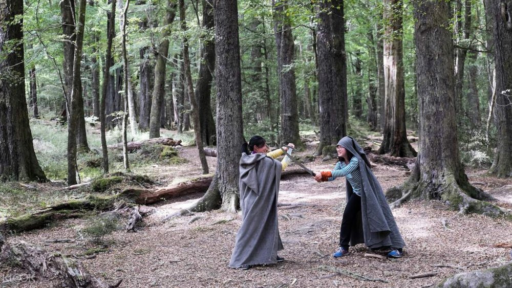  Discover more about your favourite movie with this Lord of the Rings Tour in Glenorchy!