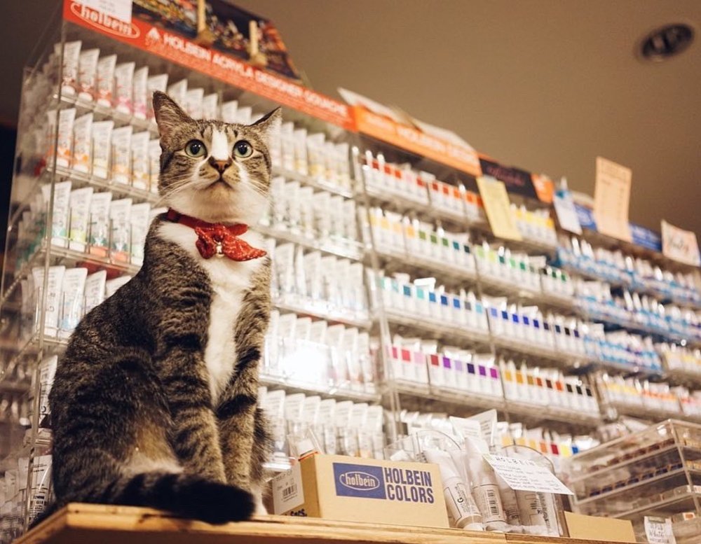 stickerrific painting workshop class art studio kl