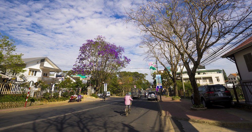 giai-dap-cac-cau-hoi-ve-da-lat