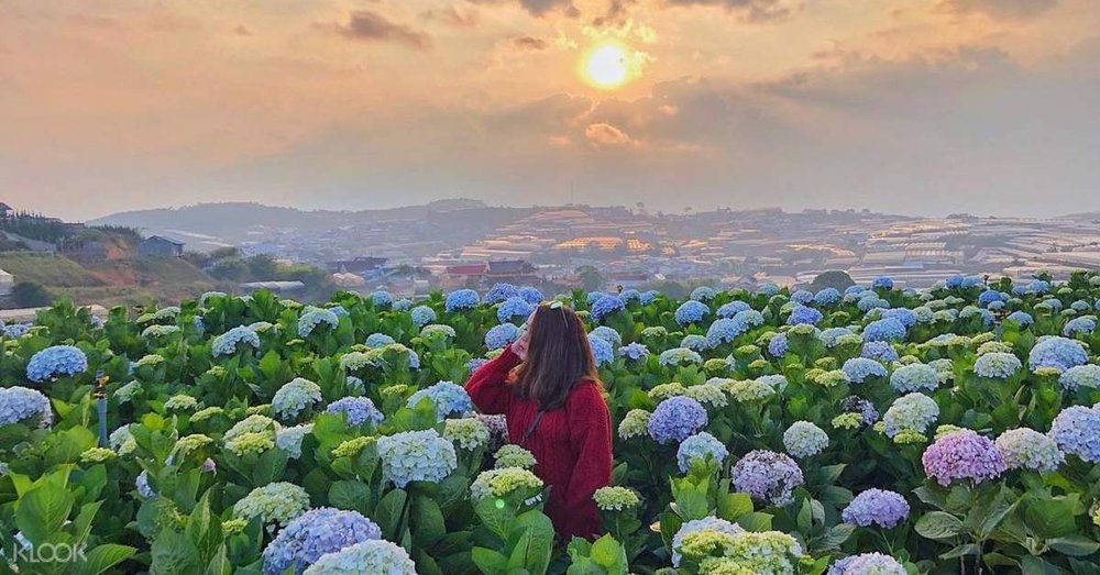 giai-dap-cac-cau-hoi-ve-da-lat