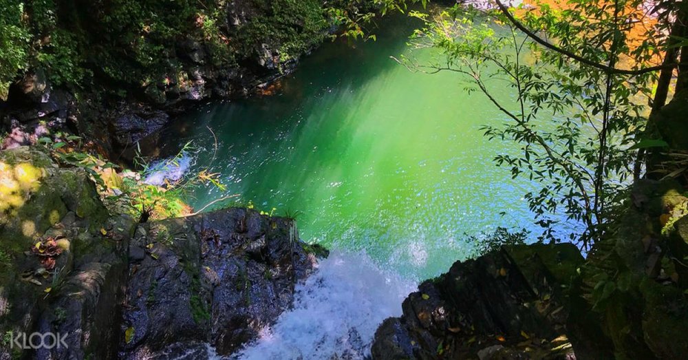 vuon-quoc-gia-bach-ma