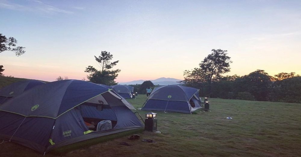 vuon-quoc-gia-bach-ma