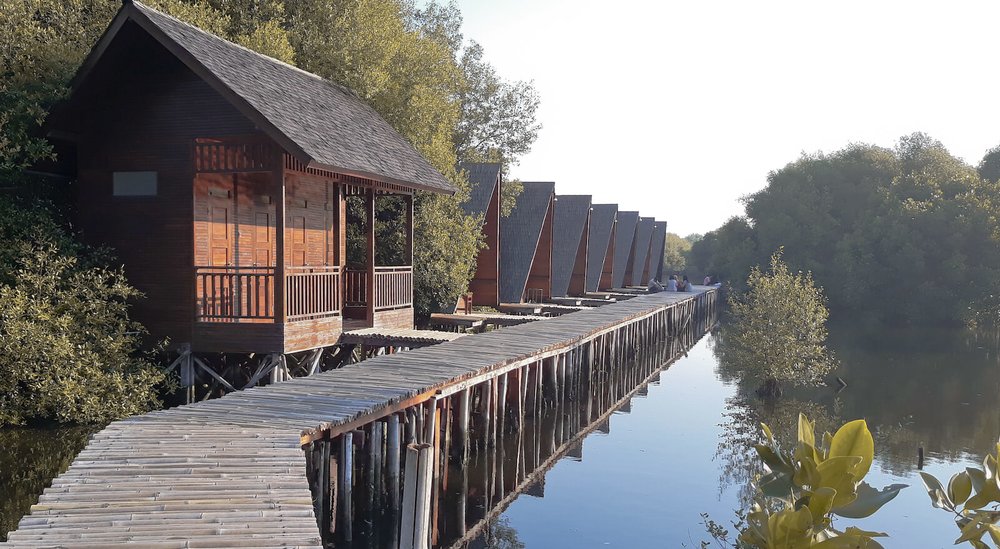 Hutan Mangrove PIK Jakarta