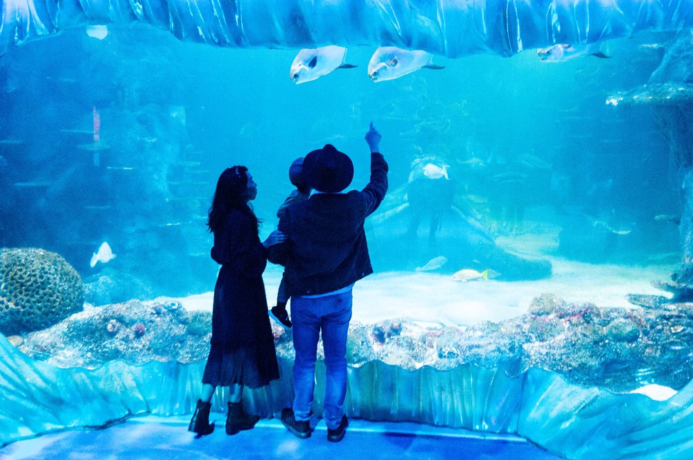 Happy kids walking under the sharks of Shark Valley