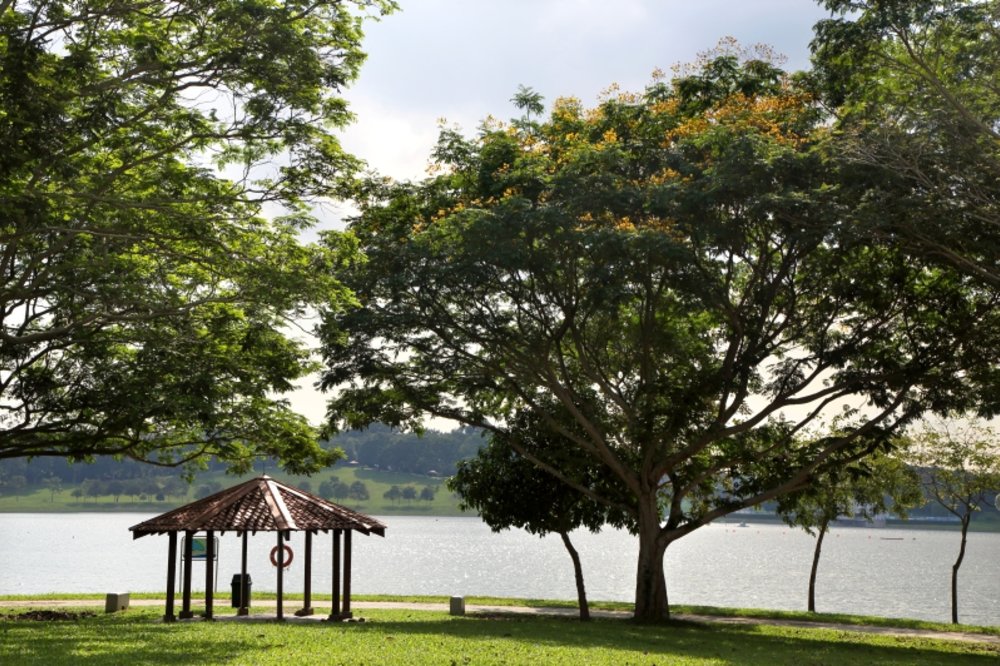 singapore nature park 14