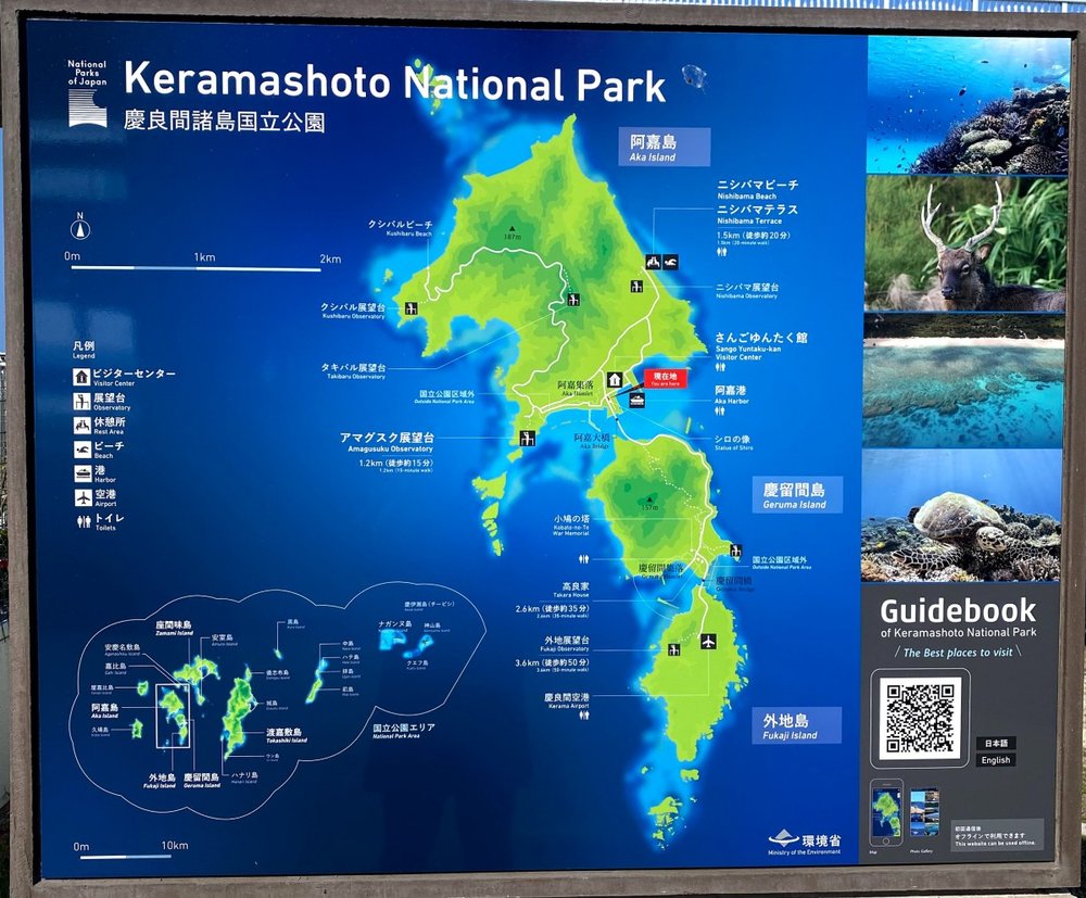 島内の移動手段（阿嘉島）