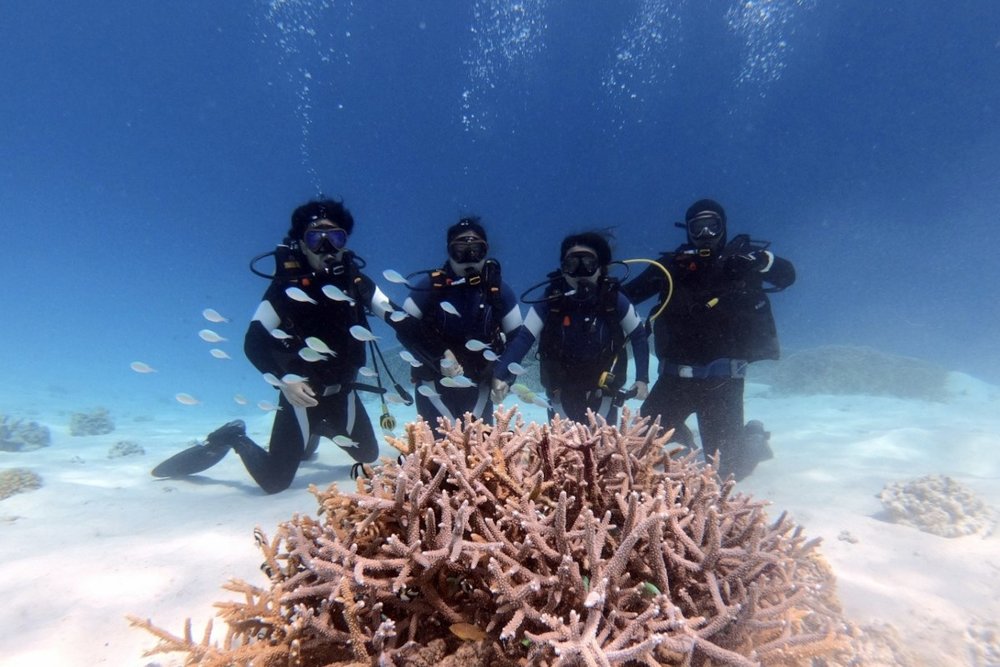 スキューバダイビング