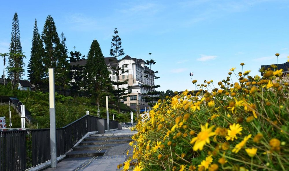 avillion cameron highlands hotel