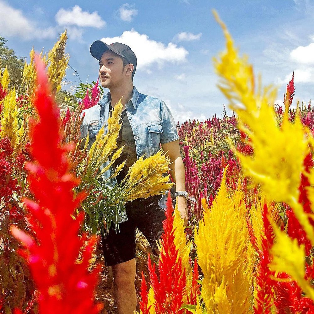 man in sirao flower garden