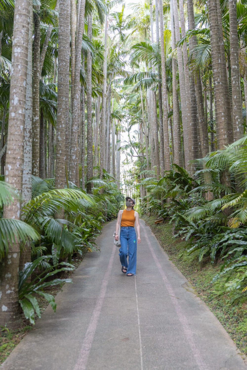 東南植物楽園を象徴するスポット、ユスラヤシ並木