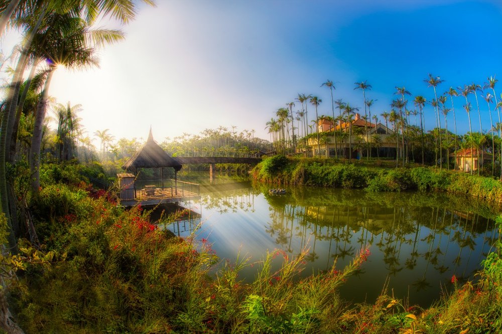 東南植物園 水上楽園エリア