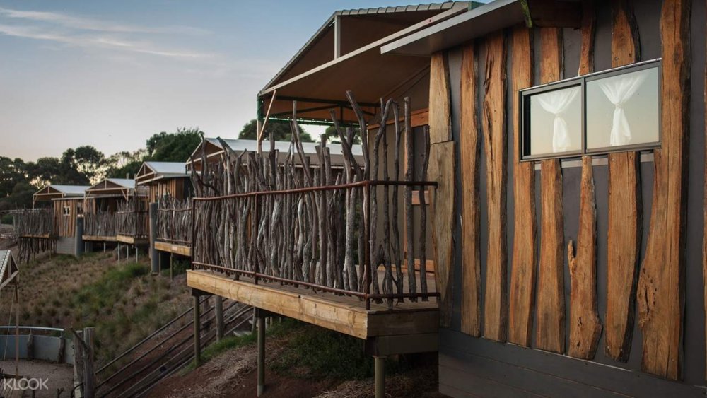 Enjoy the night on cozy tents for Slumber Safari!