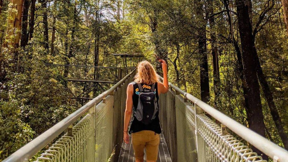 Marvel at one of Australia’s majestic rainforests at Otway Fly Treetop Walk! Image credits: @twogoooodboys