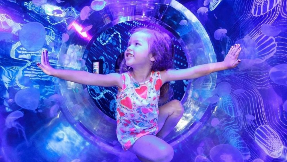 Discover the underwater world at SEA LIFE Aquarium. Image credits: @sealifemelbourneaquarium
