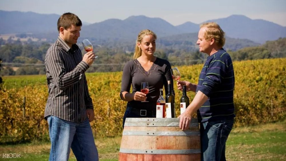 Wine tastes even better when matched with the perfect view