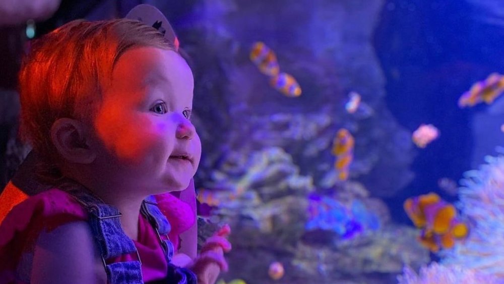 The little ones will definitely enjoy the colourful underwater world at SEA LIFE Melbourne! Image credits: @sealifemelbourneaquarium on Instagram