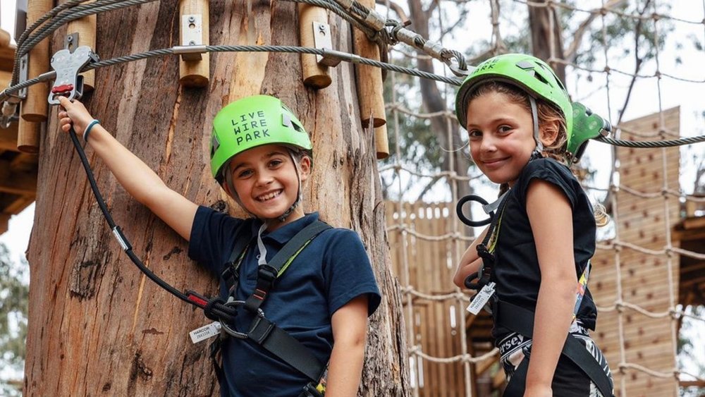 Climb, swing, and slide at Live Wire Park’s many treetop challenges! Image credits: @livewirepark on Instagram