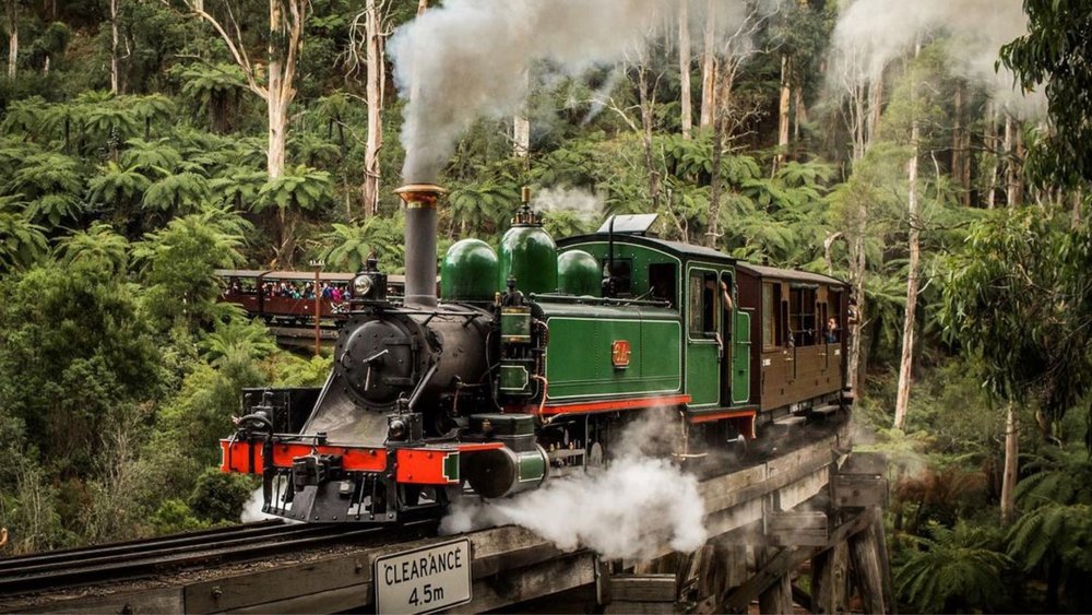 Explore the rainforest of Dandenong Ranges aboard the Puffing Billy! Image credits: @puffingbillyrailway on Instagram