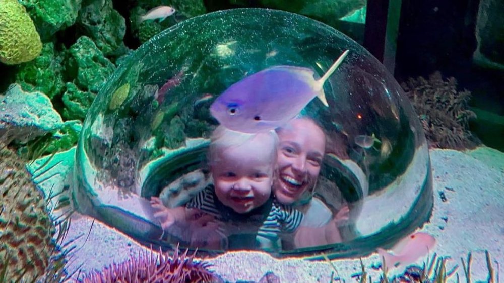 Visit the incredible marine wildlife at SEA LIFE! Image credits: @sealifemelbourneaquarium on Instagram