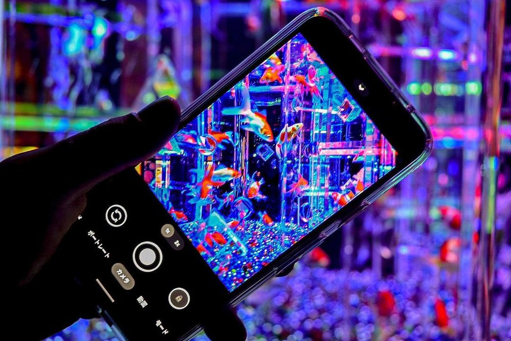 スマホ越しに撮影