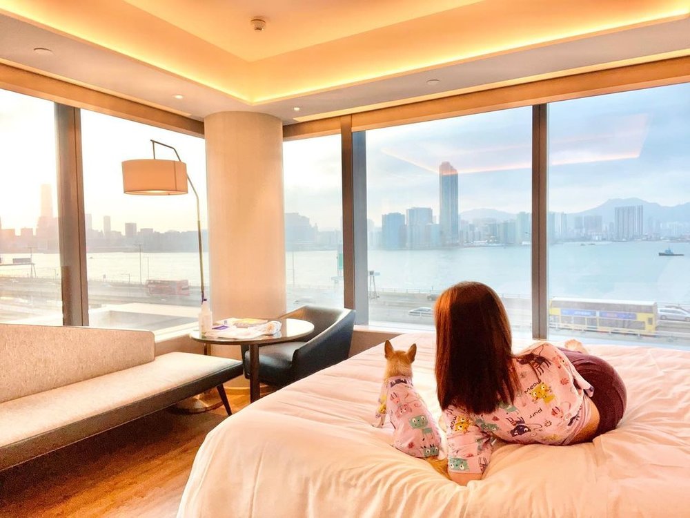 維港凱悅尚萃酒店 staycation 打卡 海景