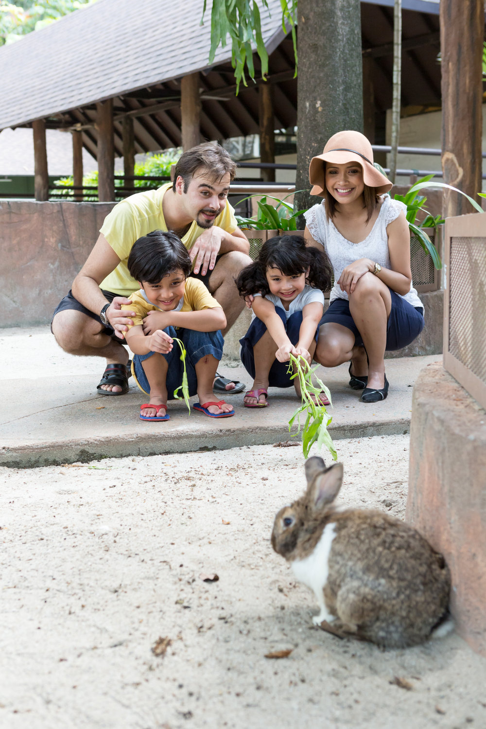 sunway lagoon wildlife park petting zoo