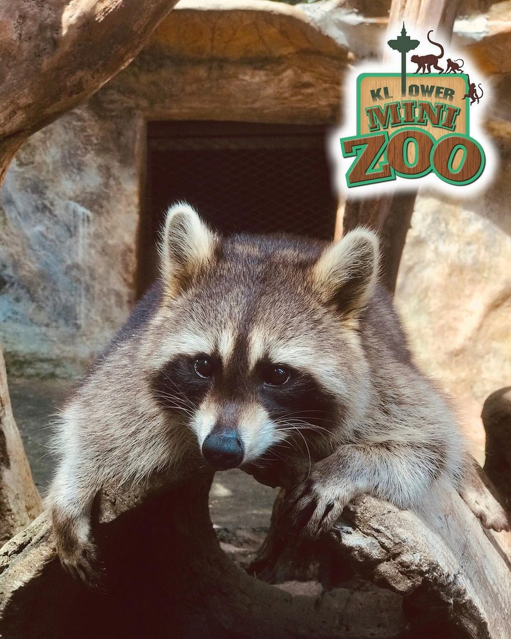 8 Best Outing Spots For Animal Lovers In KL & Selangor Zoos, Farms