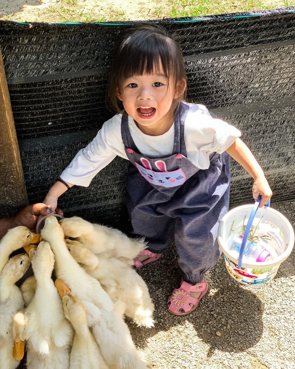 MY BM aves world semenyih eco farm