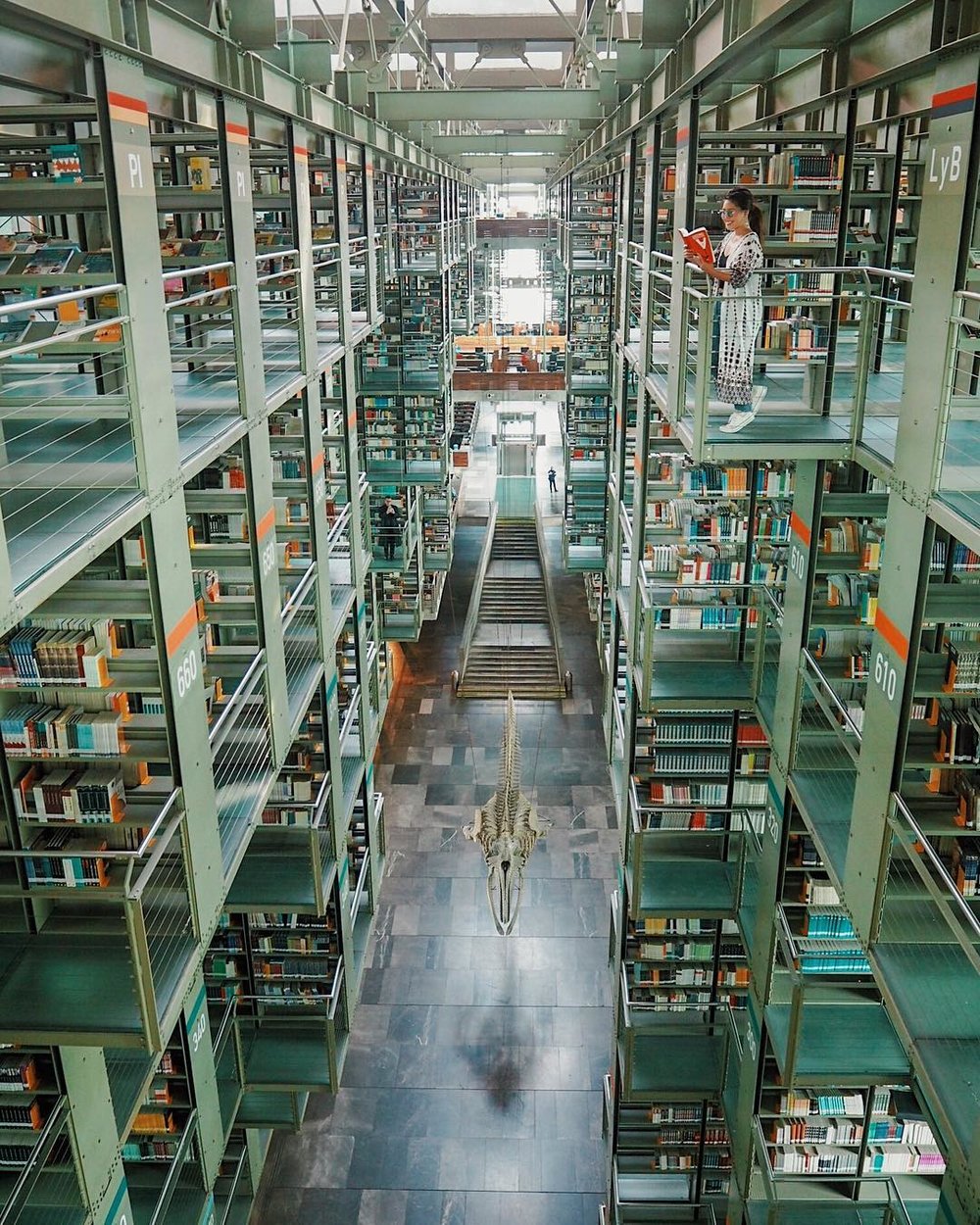 Biblioteca Vasconcelos in Mexico most beautiful library in the world
