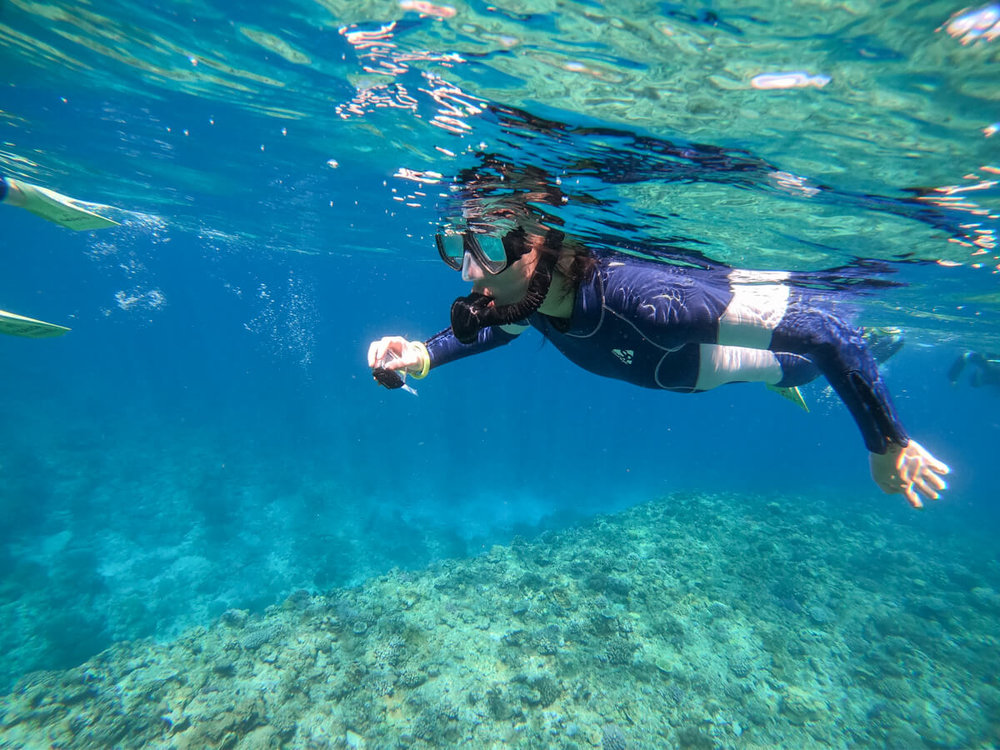 海に入って、その透明度の高さに驚きます